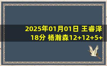 2025年01月01日 王睿泽18分 杨瀚森12+12+5+6帽 杨文学30+15 青岛大胜四川